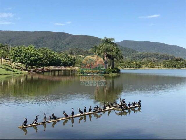 Casa de Condomínio à venda com 4 quartos, 189m² - Foto 31